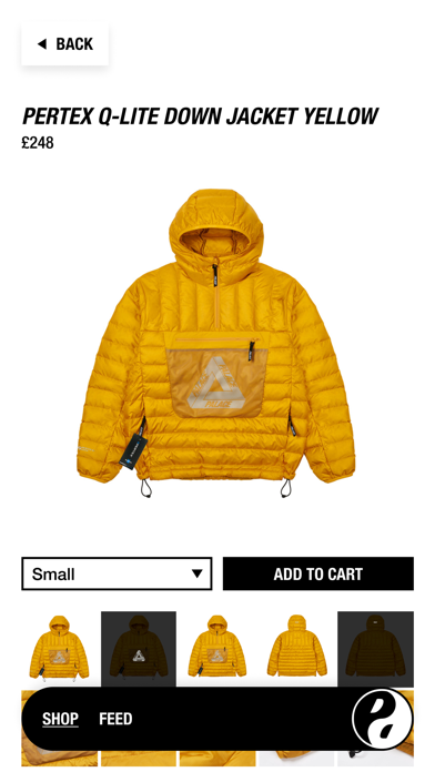 PALACE screenshot 2