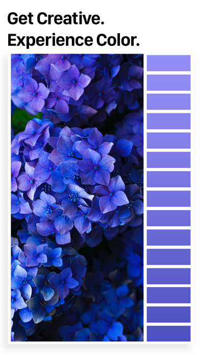 Palette Republic screenshot 2