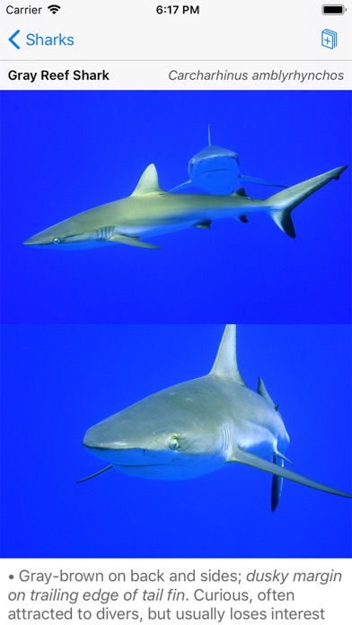 Palmyra Atoll Nature Guide screenshot 7