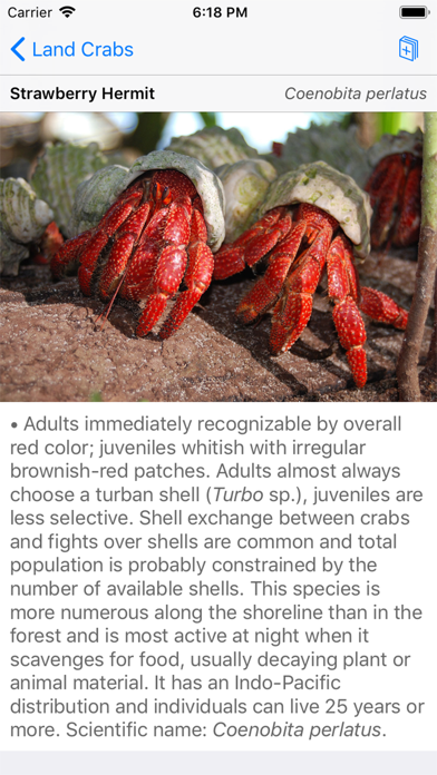 Palmyra Atoll Nature Guide screenshot 3