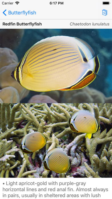 Palmyra Atoll Nature Guide screenshot 2