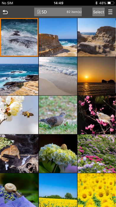 Panasonic LUMIX Sync screenshot 3