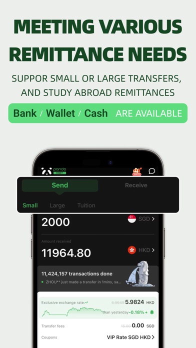 Panda Remit screenshot 3