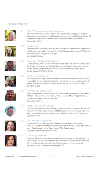 Paradigm Shift Magazine screenshot 6