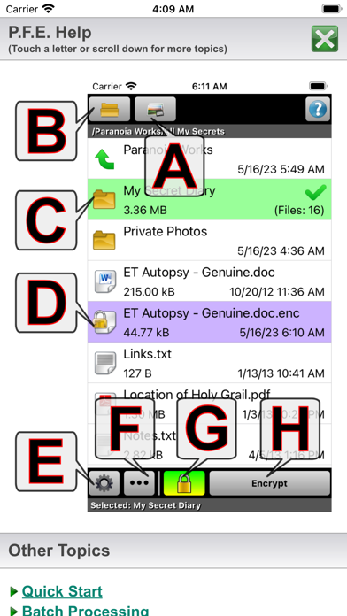 Paranoia File Encryption PRO screenshot 1