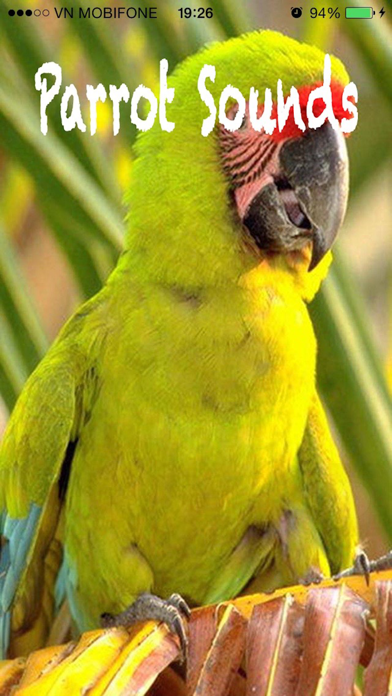 Parrot Sounds - Cockatoo,Caique,Kakariki screenshot 4