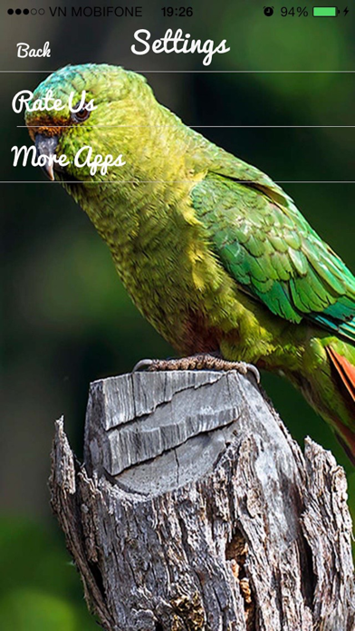 Parrot Sounds - Cockatoo,Caique,Kakariki screenshot 1