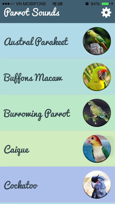 Parrot Sounds - Cockatoo,Caique,Kakariki screenshot 3