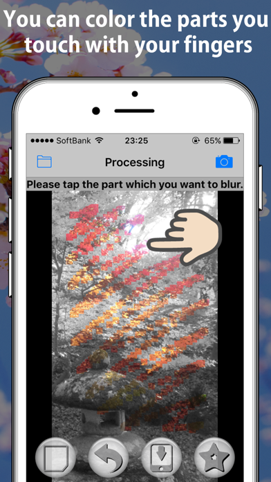 Partially color photo effecter screenshot 2
