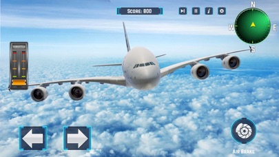 Passenger Airplane Flight Sim screenshot 3