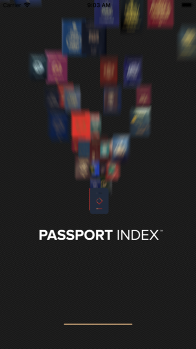 Passport Index screenshot 9