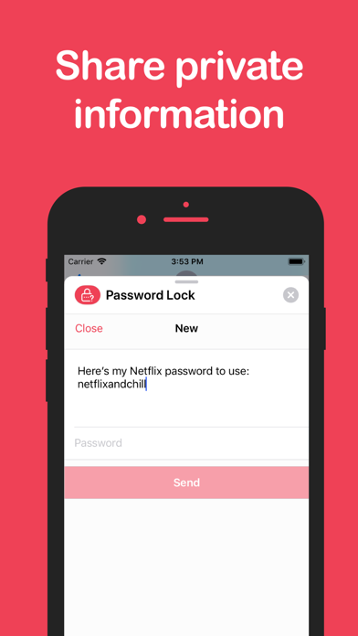 Password Encrypted Message screenshot 4