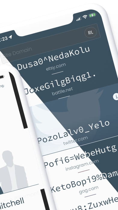 Password: Spectre screenshot 9