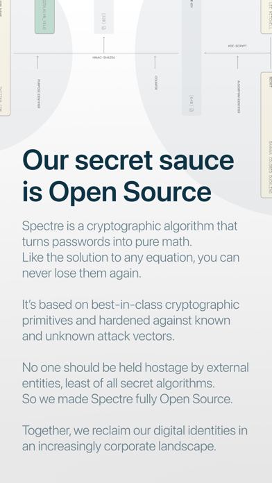 Password: Spectre screenshot 6