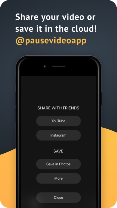 Pause Video screenshot 1