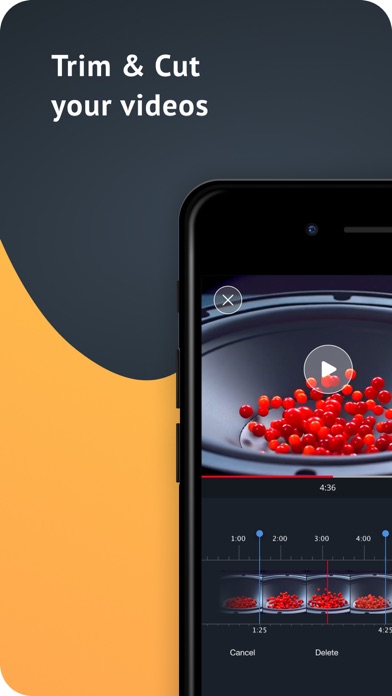Pause Video screenshot 3