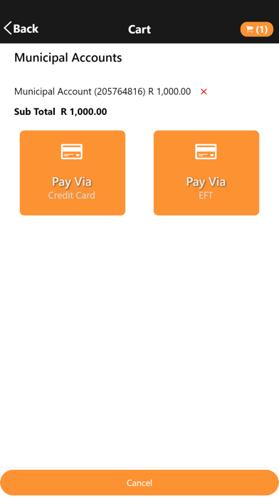 payCity screenshot 1