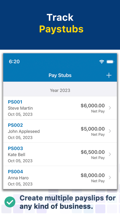 Paystub Builder: PDF Payslips screenshot 2