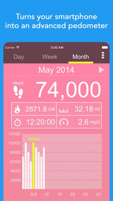 Pedometer α - Step Counter screenshot 1