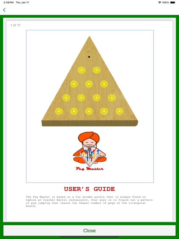 Peg Master screenshot 2