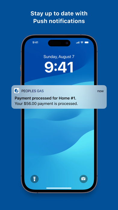 Peoples Gas Chicago screenshot 1