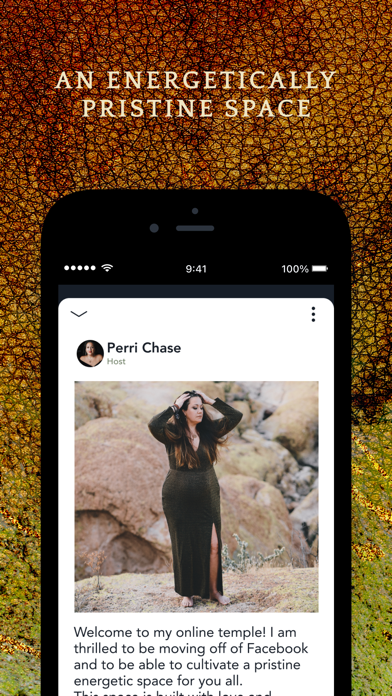 Perri Chase screenshot 5