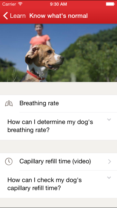 Pet First Aid: screenshot 4