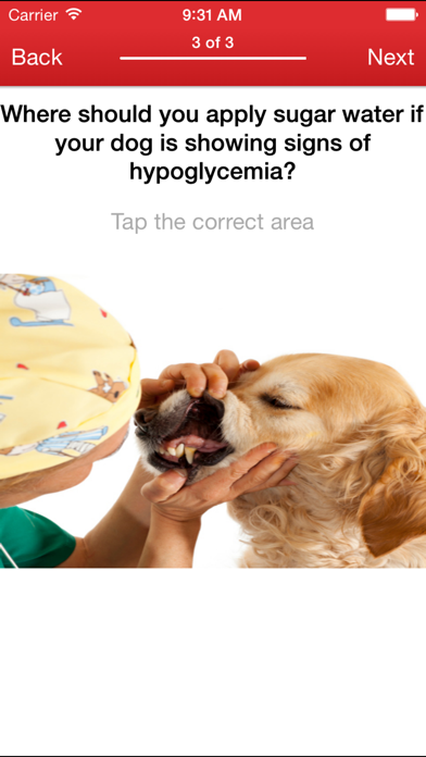 Pet First Aid: screenshot 2