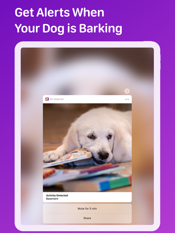 Pet Monitor VIGI screenshot 6