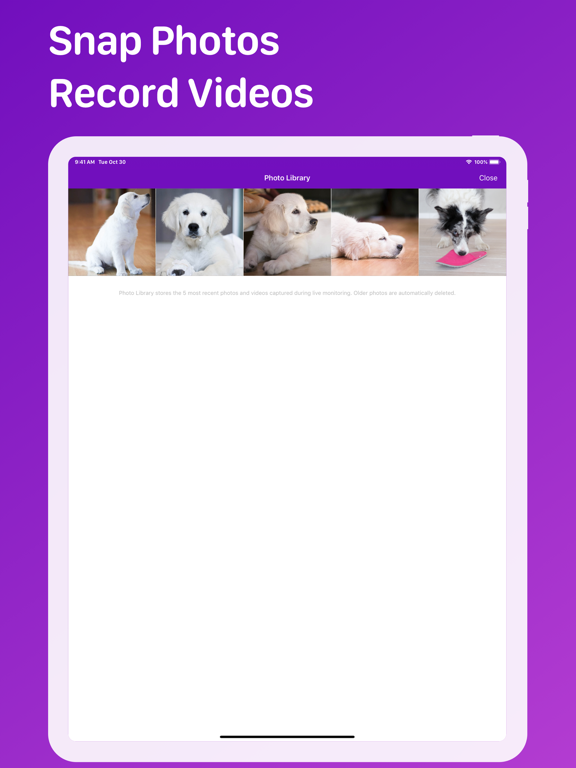Pet Monitor VIGI screenshot 2