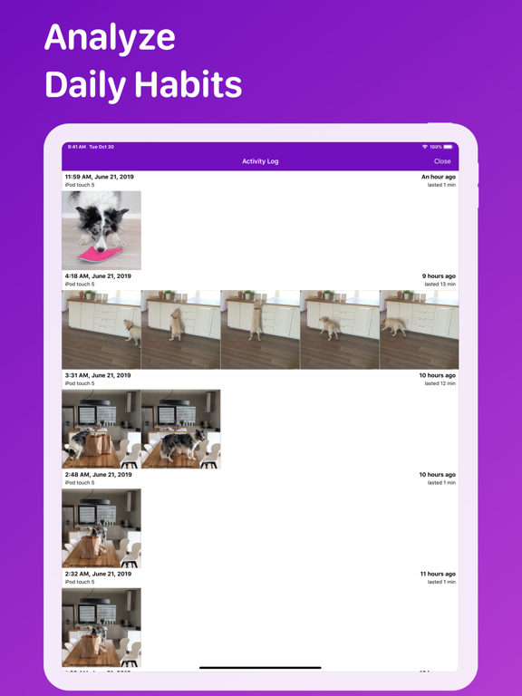 Pet Monitor VIGI screenshot 3