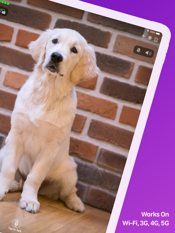 Pet Monitor VIGI screenshot 9