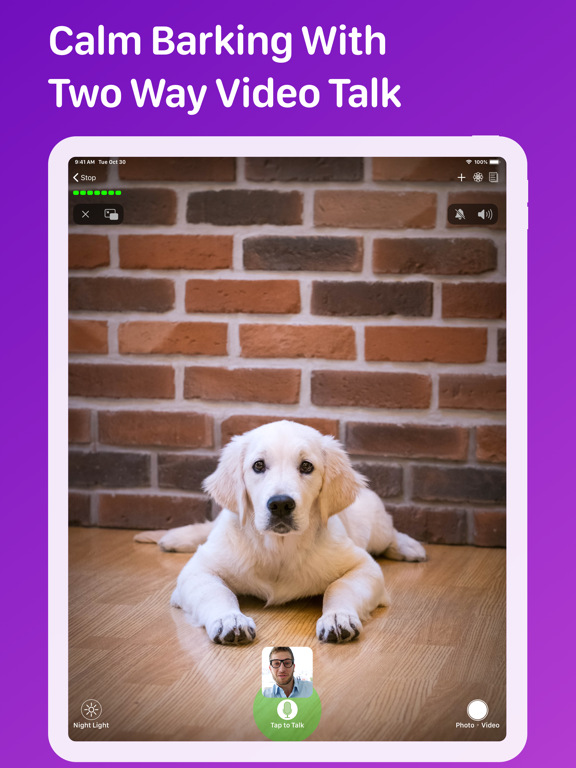 Pet Monitor VIGI screenshot 8