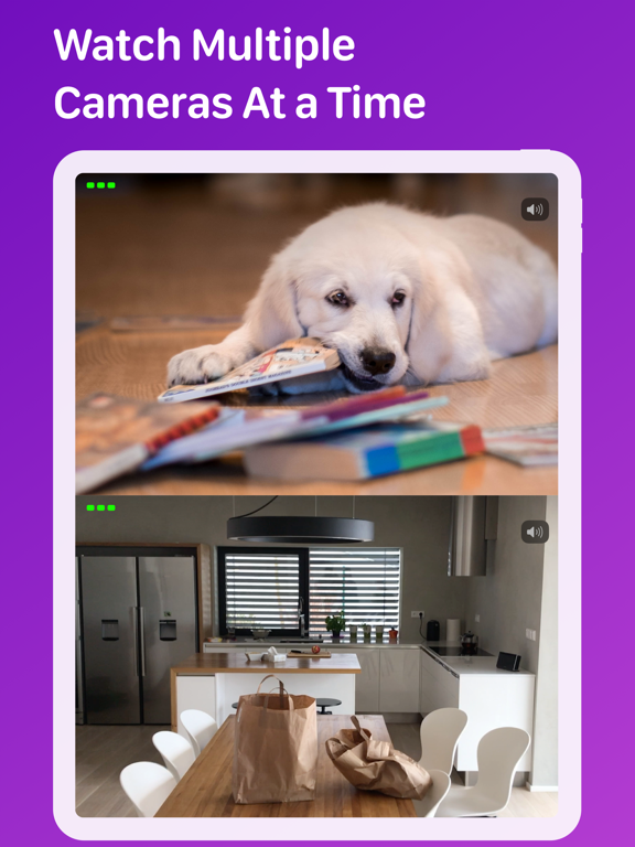 Pet Monitor VIGI screenshot 4