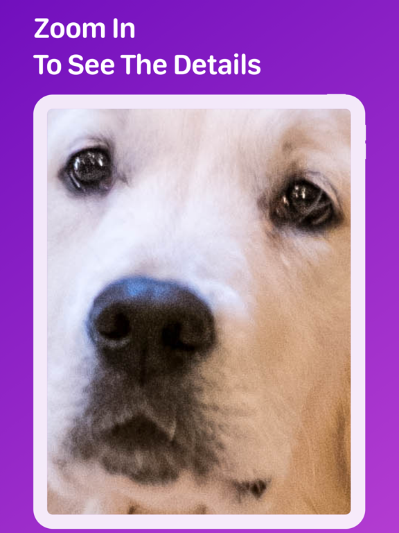 Pet Monitor VIGI screenshot 5
