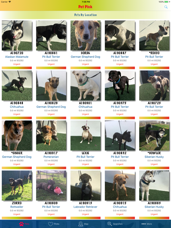 Pet Pick screenshot 10