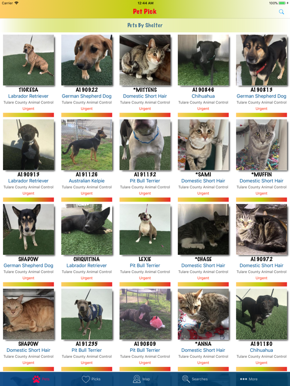 Pet Pick screenshot 8