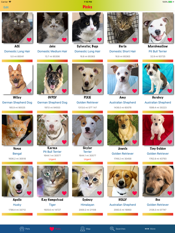 Pet Pick screenshot 5