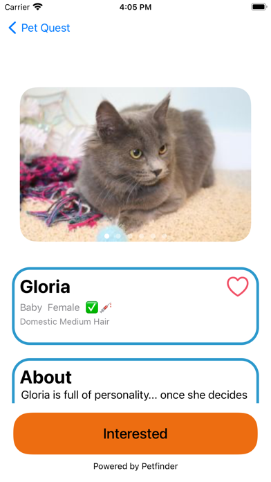 Pet Quest - Adopt Pets Nearby screenshot 1
