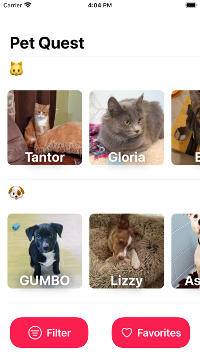 Pet Quest - Adopt Pets Nearby screenshot 3