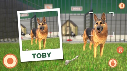 Pet Vet Hospital - Doctor Care screenshot 4
