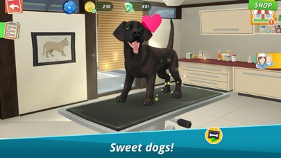 Pet World: My Animal Hospital screenshot 1