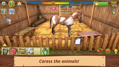 Pet World - My Animal Shelter screenshot 2