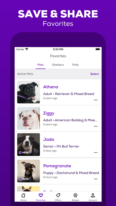 Petfinder - Adopt a Pet screenshot 3