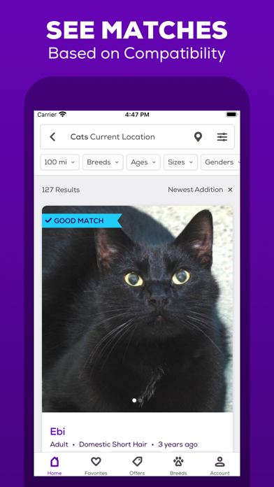Petfinder - Adopt a Pet screenshot 5