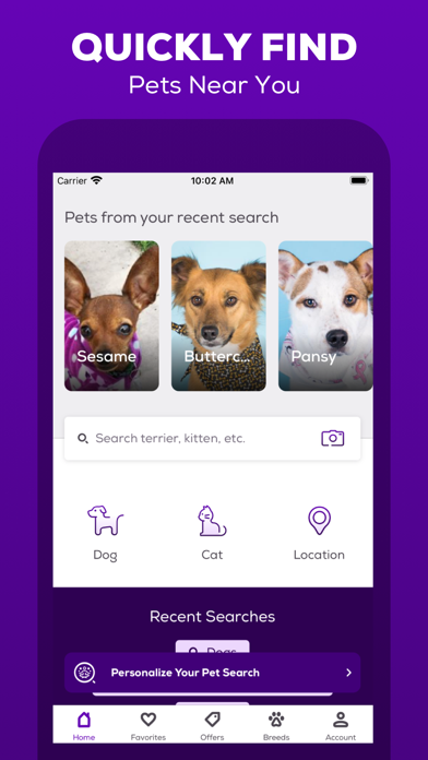 Petfinder - Adopt a Pet screenshot 6