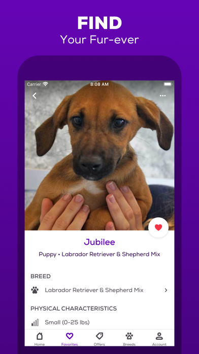 Petfinder - Adopt a Pet screenshot 1