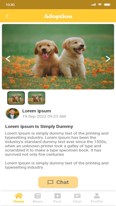 PetPal Sg screenshot 3