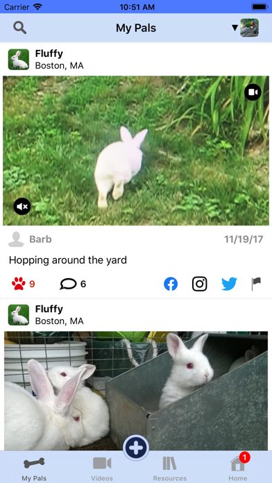 PetPal screenshot 2