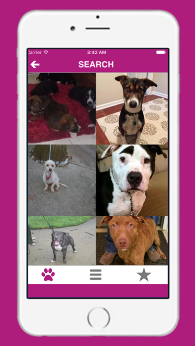 Pets - Find Yours screenshot 5
